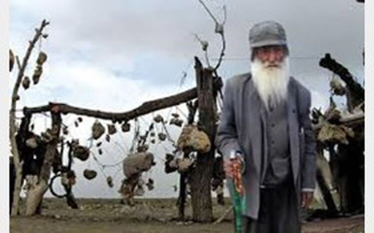  سه پیشنهاد برای تکمیل پروژه المان درویش‌خان اسفندیارپور :