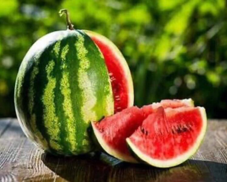 رد شایعه وجود نیترات در هندوانه جنوب کرمان | تأکید بر سلامت و استاندارد صادراتی